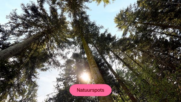 Ranger Daniël tipt de beste natuurspots rond Les Trois Forêts